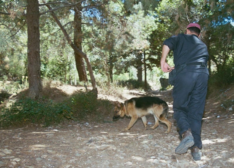 Επιχείρηση εντοπισμού Γερμανού τουρίστα σε ορεινή περιοχή των Χανίων