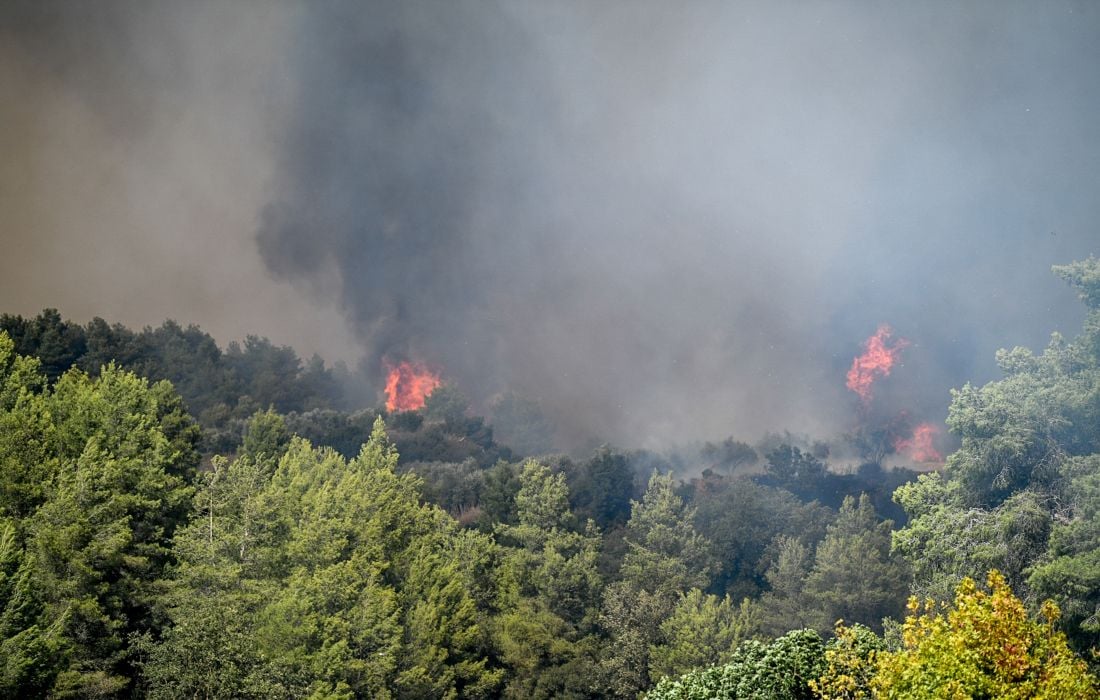 Πυρκαγιές στην Ηλεία Κινητοποίηση Πυροσβεστικών Δυνάμεων για Καταστολή και Έρευνα Αιτίων